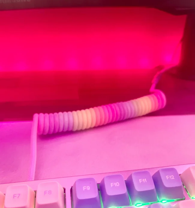 Wooting Detachable USB-C Coiled/Straight Cable Set - Just White